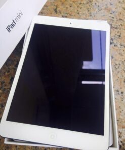 iPad Mini 1 16Gb Silver - Grey ( 4G - Wifi ) Cũ 99%