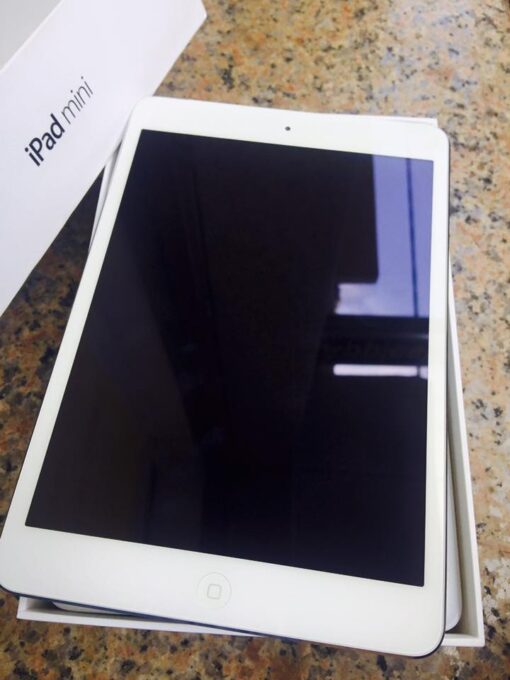 iPad Mini 1 16Gb Silver - Grey ( 4G - Wifi ) Cũ 99%